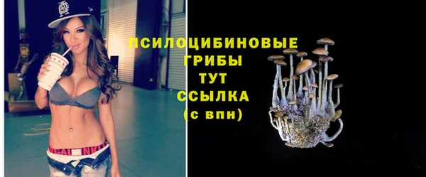 таблы Белокуриха