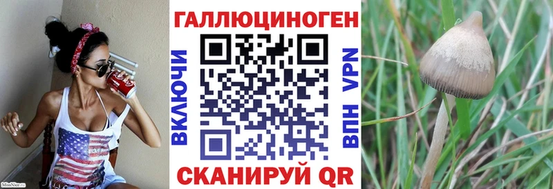 купить наркоту Кириллов Псилоцибиновые грибы мухоморы